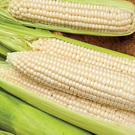 white-maize-grain-1527229824-3873531